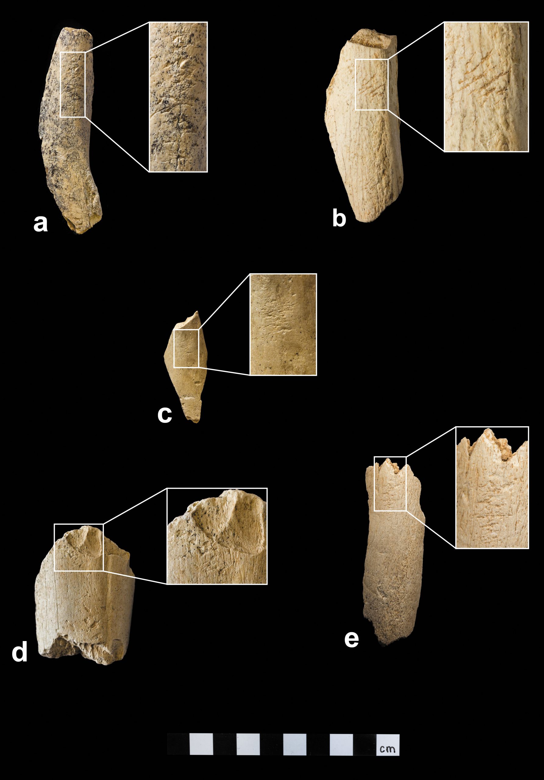 https://kernsverlag.com/wp-content/uploads/2021/08/muenzel_fig14-scaled.jpg