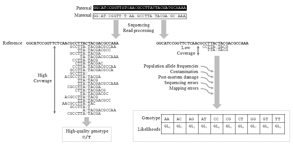 Fig. 2: High and Low Coverage sequencing data