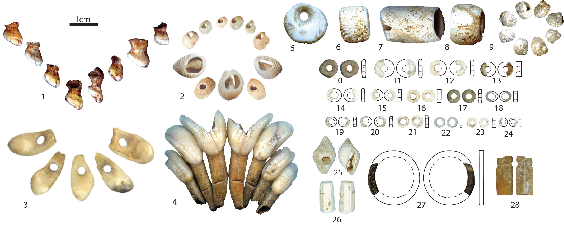 High level connections as a key component for the rapid dispersion of the  Neolithic in Europe (Chapter 4) | Kerns Verlag Tübingen