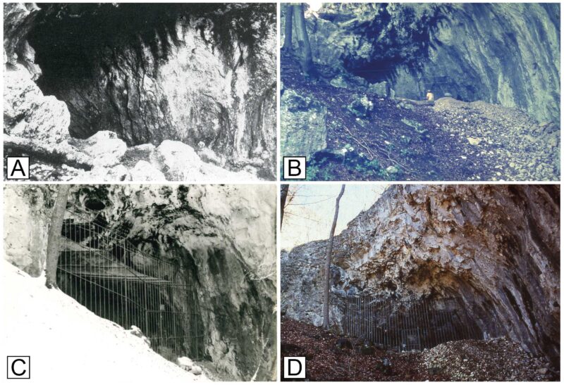 Geißenklösterle-Höhle, vier Ansichten
