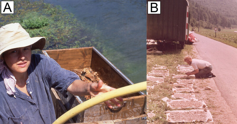 Verarbeitung der Eimerfunde