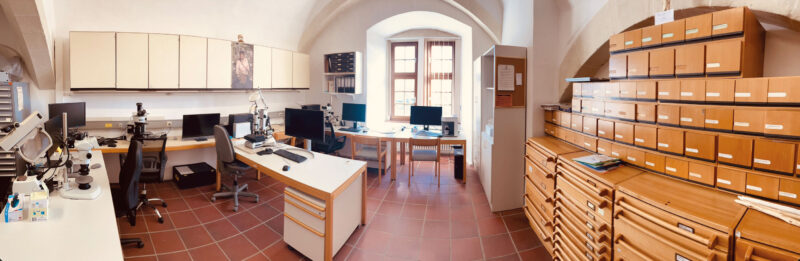 Das Material Culture Laboratory in der Abteilung für Ältere Urgeschichte und Quartärökologie